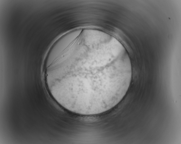X0000088491092200706191420