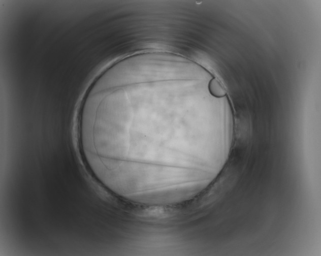 X0000088491098200706191420