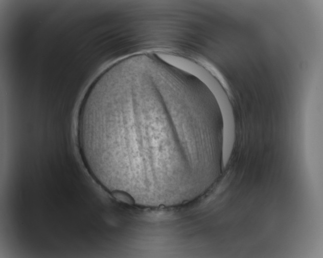 X0000088491099200706191420