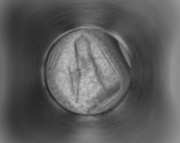 X0000088491100200706191420