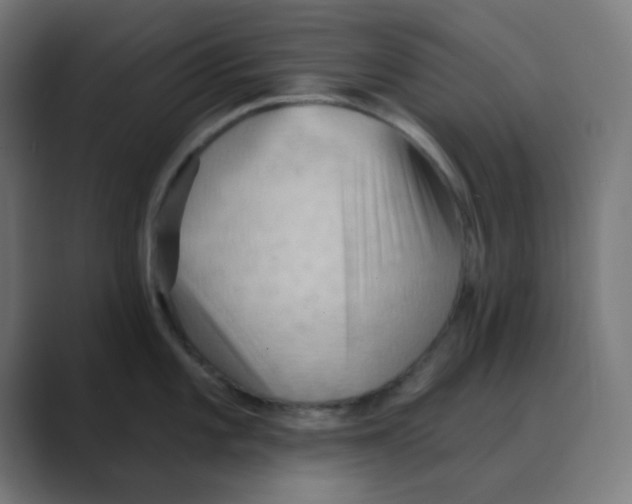 X0000088491101200706191420