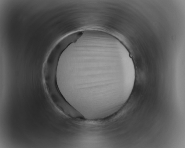 X0000088491102200706191420