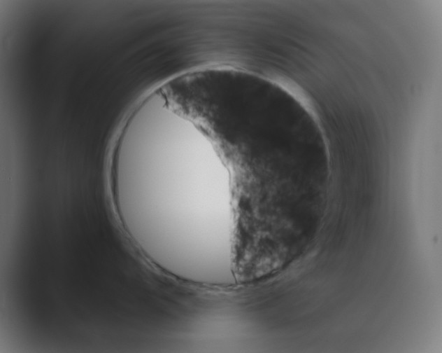 X0000088491104200706191420