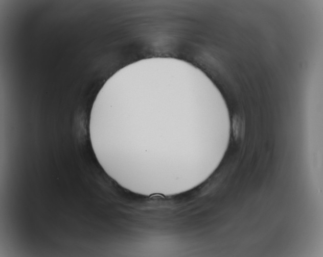X0000088491107200706191419