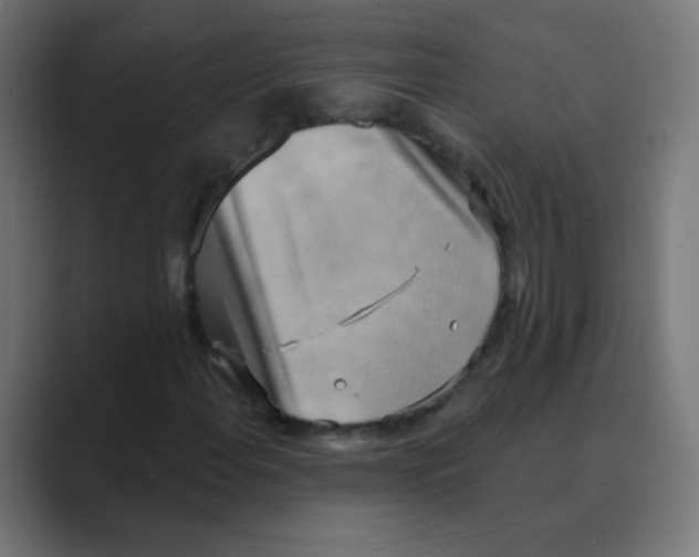X0000088491108200706191419