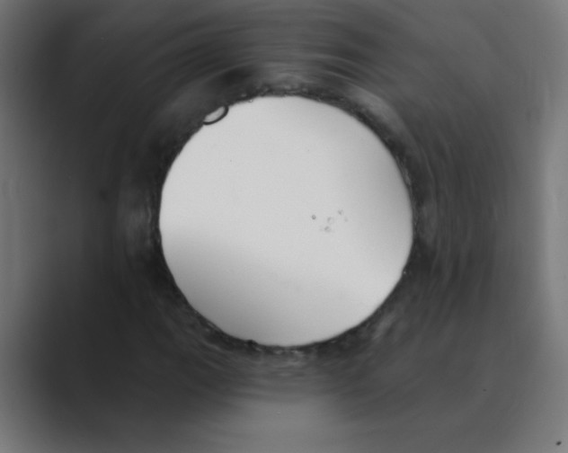 X0000088491111200706191419