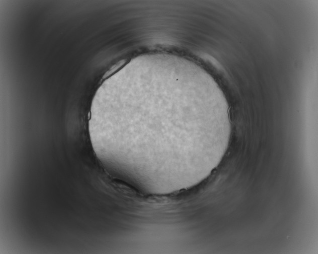 X0000088491112200706191419