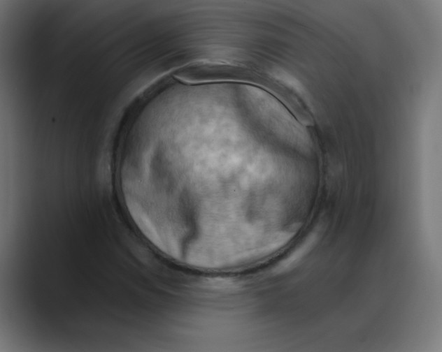 X0000088491114200706191419