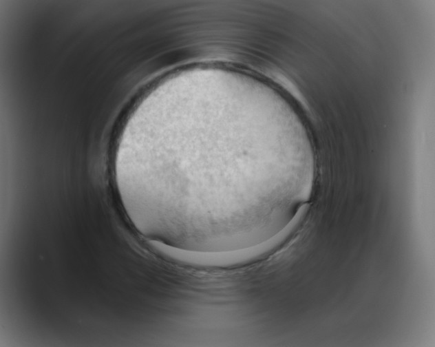 X0000088491116200706191419