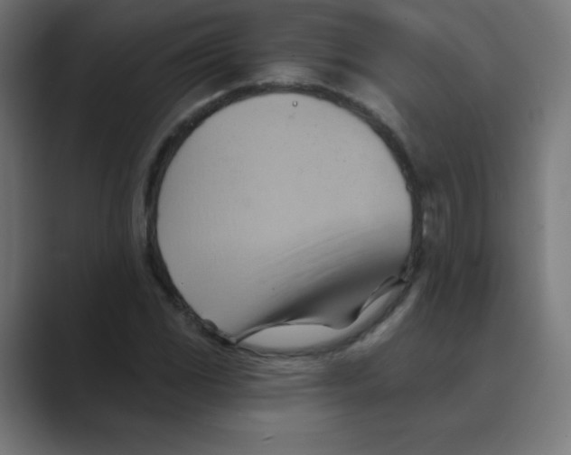 X0000088491117200706191419