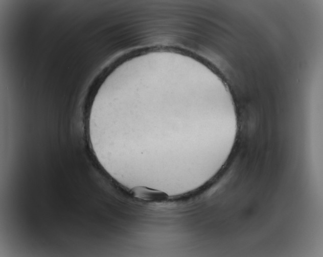 X0000088491118200706191419