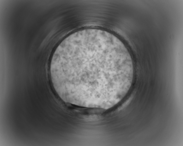 X0000088491121200706191419