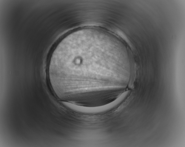 X0000088491124200706191419