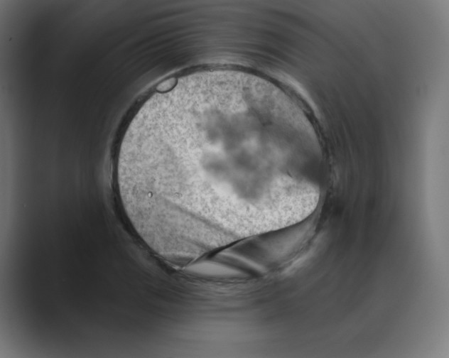 X0000088491125200706191419