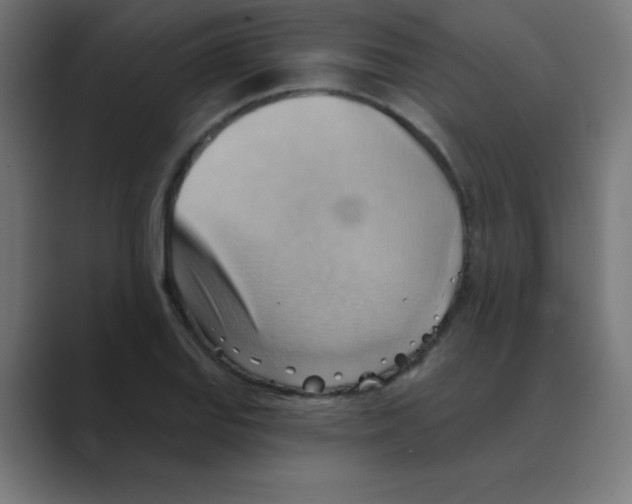X0000088491127200706191419