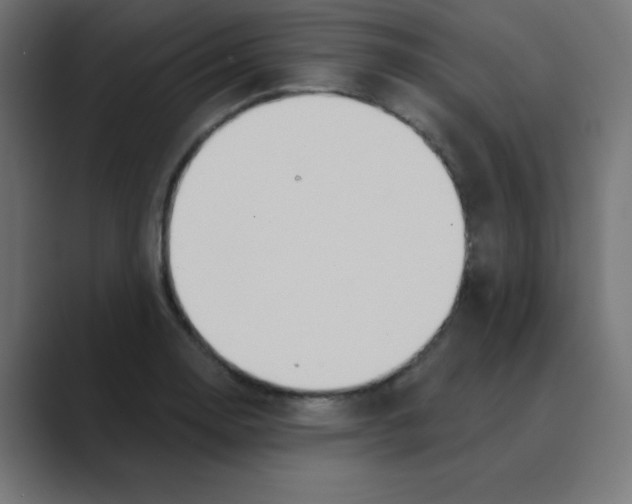 X0000088491130200706191420