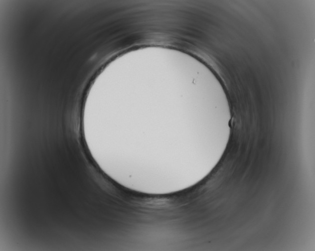 X0000088491131200706191420