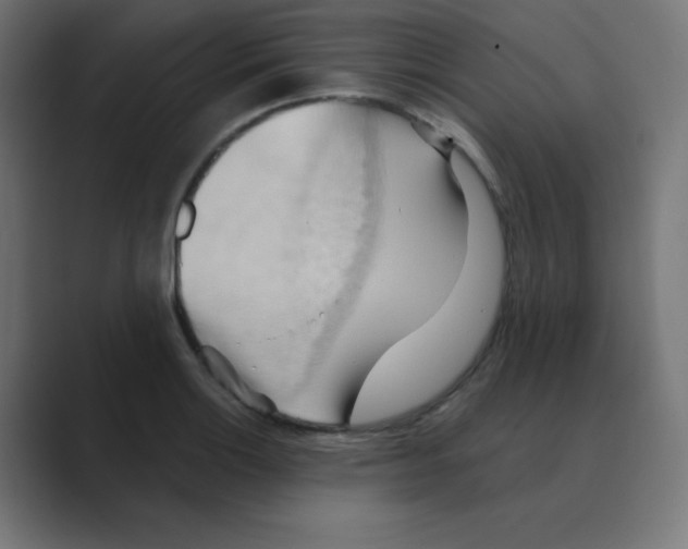 X0000088491132200706191420