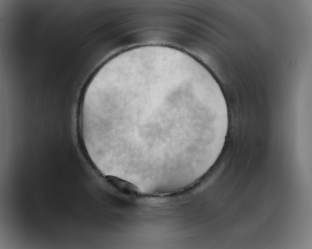 X0000088491134200706191420