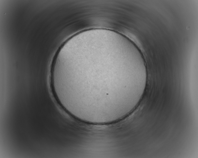 X0000088491136200706191420
