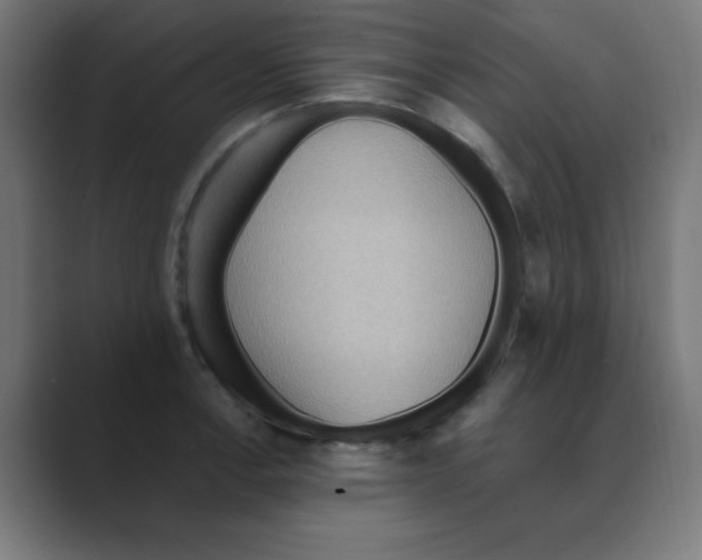 X0000088491138200706191420