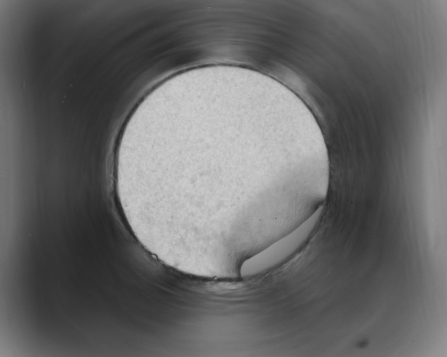 X0000088491140200706191420