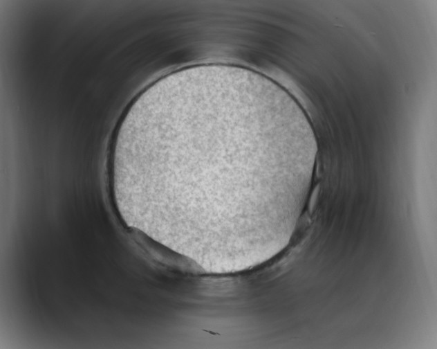 X0000088491142200706191420