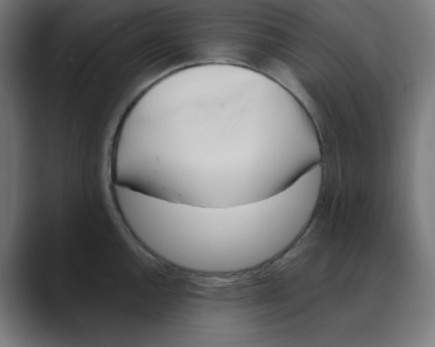X0000088491144200706191420