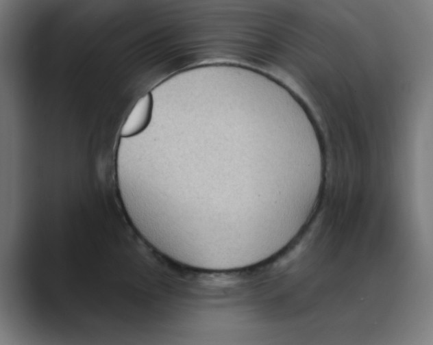 X0000088491145200706191420