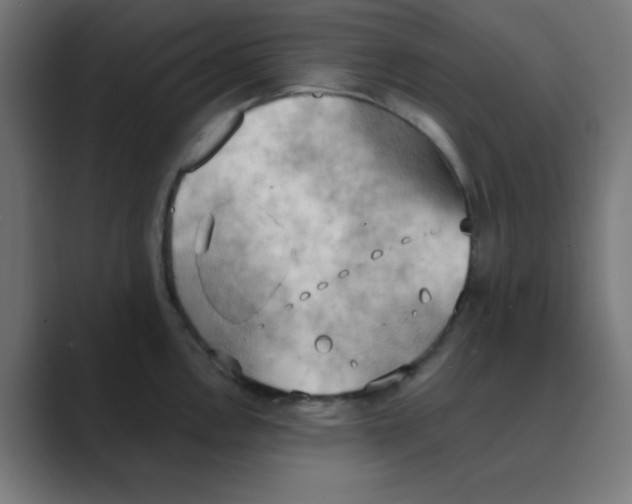 X0000088491146200706191420