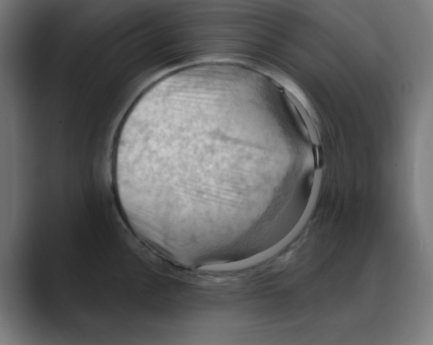 X0000088491148200706191420