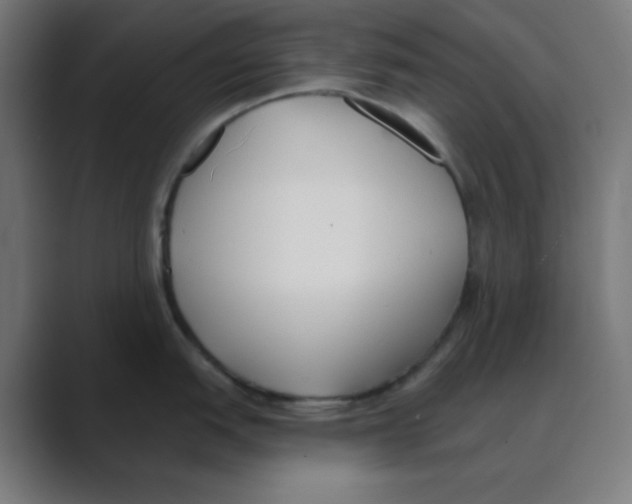 X0000088491151200706191420