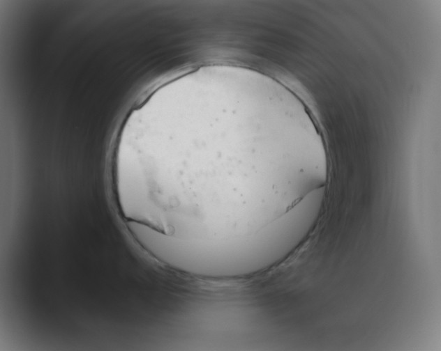 X0000088491152200706191420