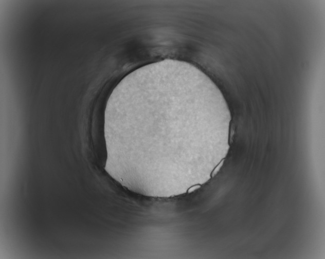 X0000088491153200706191419