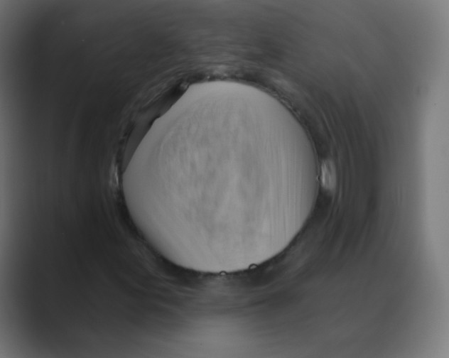 X0000088491155200706191419