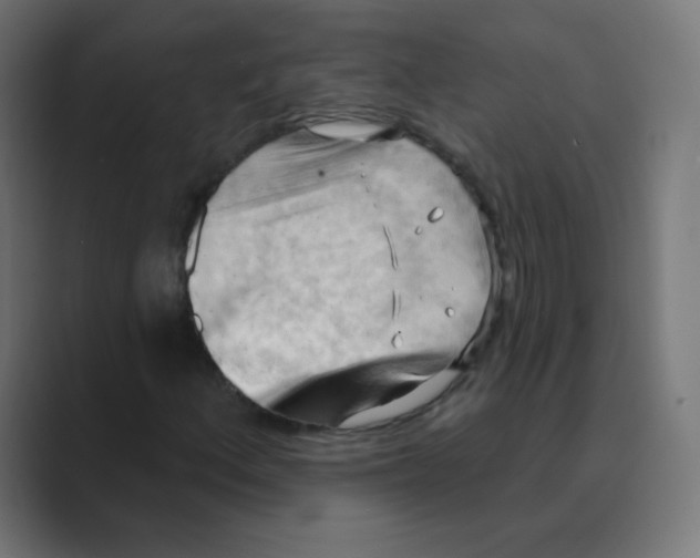 X0000088491156200706191419