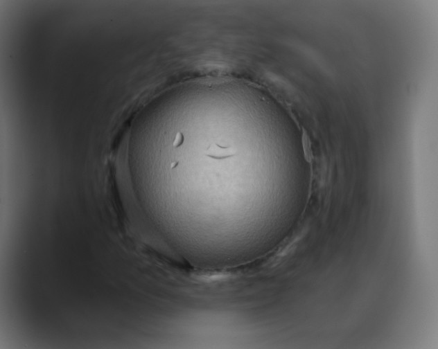 X0000088491157200706191419