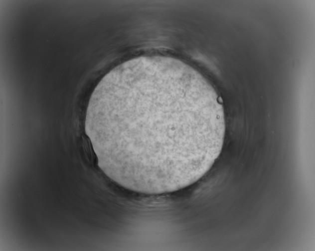 X0000088491159200706191419