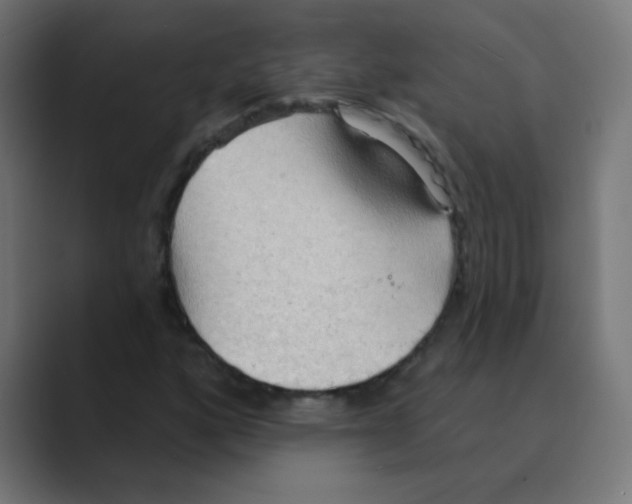 X0000088491160200706191419