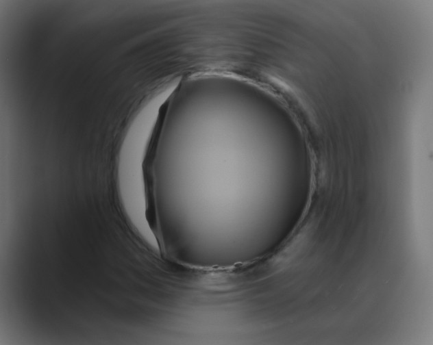 X0000088491161200706191419