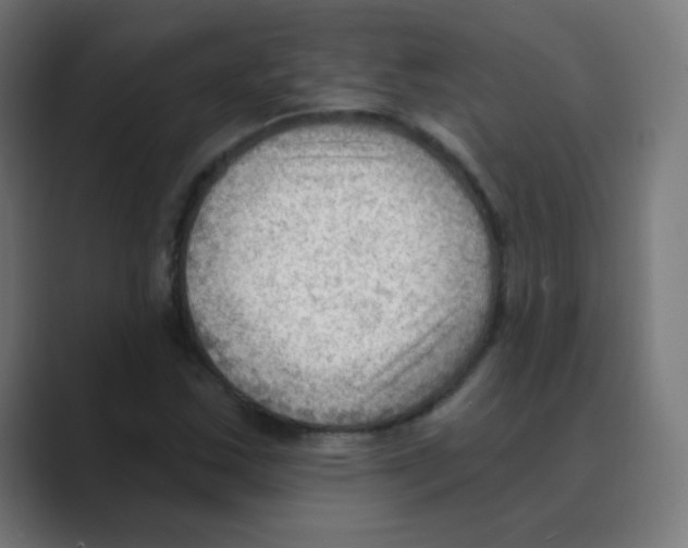 X0000088491163200706191419