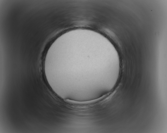 X0000088491164200706191419