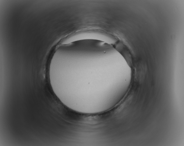X0000088491165200706191419