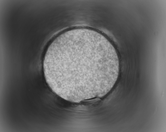 X0000088491167200706191419