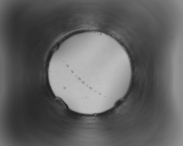 X0000088491168200706191419