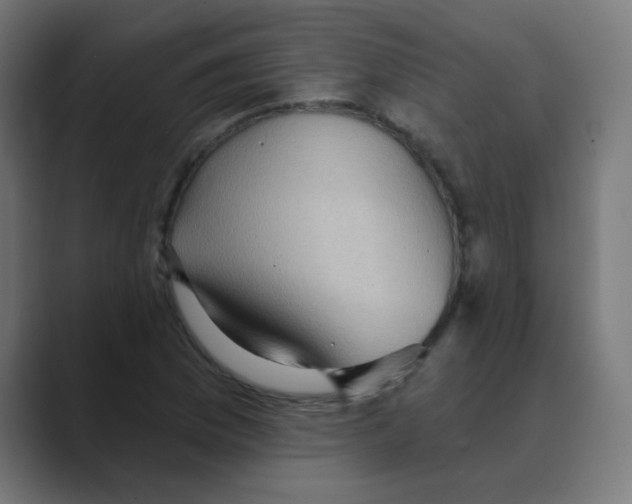 X0000088491169200706191419