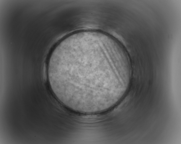 X0000088491171200706191419