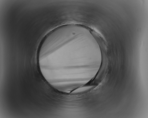 X0000088491173200706191419