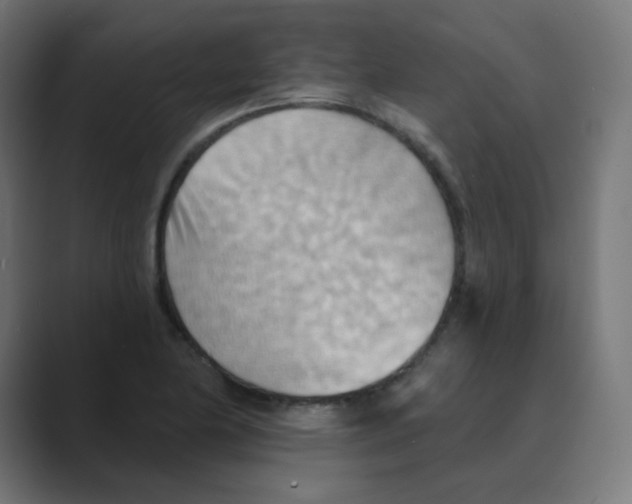 X0000088491174200706191419