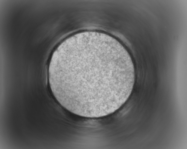 X0000088491175200706191419
